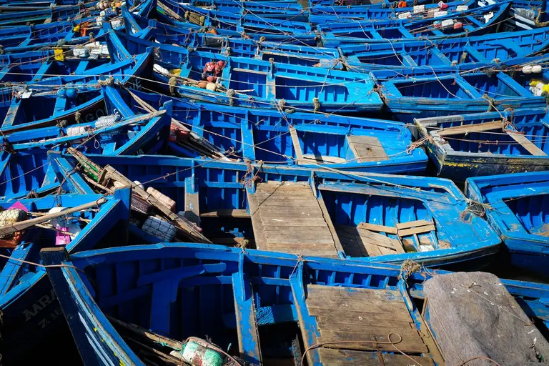 Rows of blue fishing boats in the harbour of Essaouira